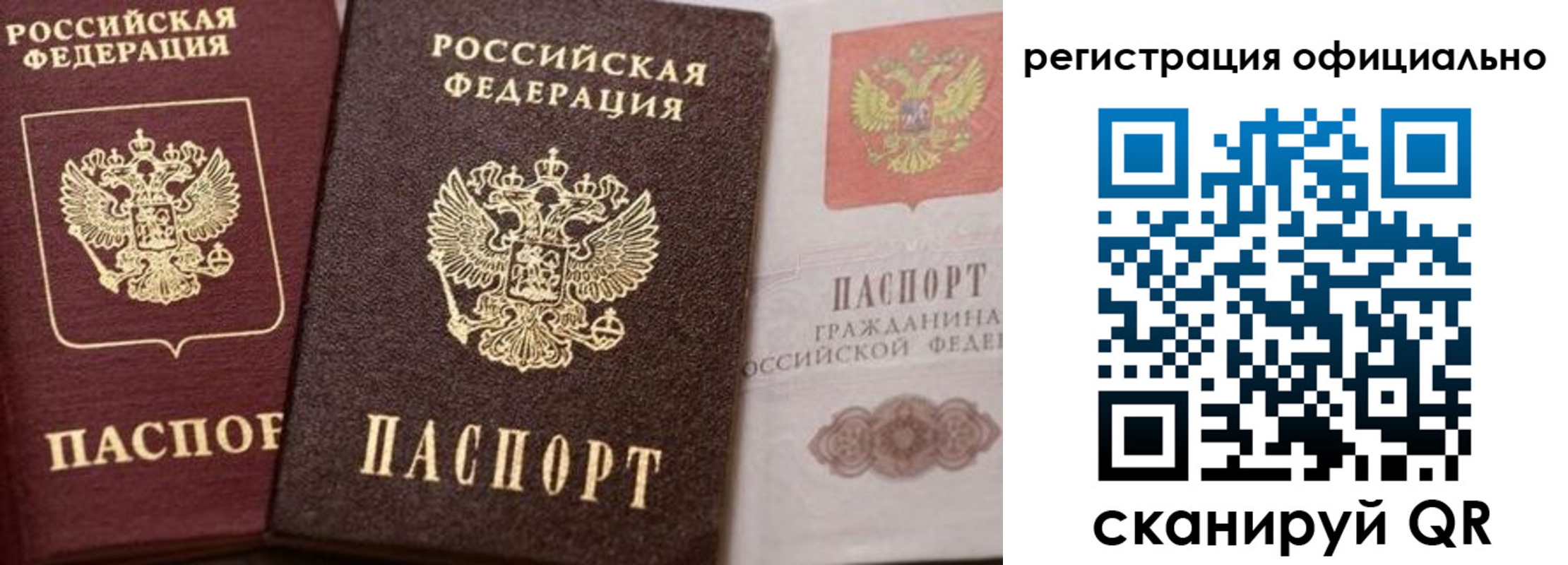временная регистрация недорого в Благовещенске